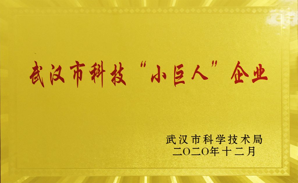 Wuhan-City–Little-Giant-Technology-Enterprises