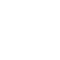 11993008