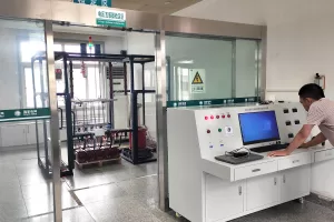 Instrument Transformer Insulation Testing detail 2