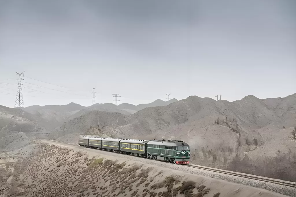 Ordinary passenger train